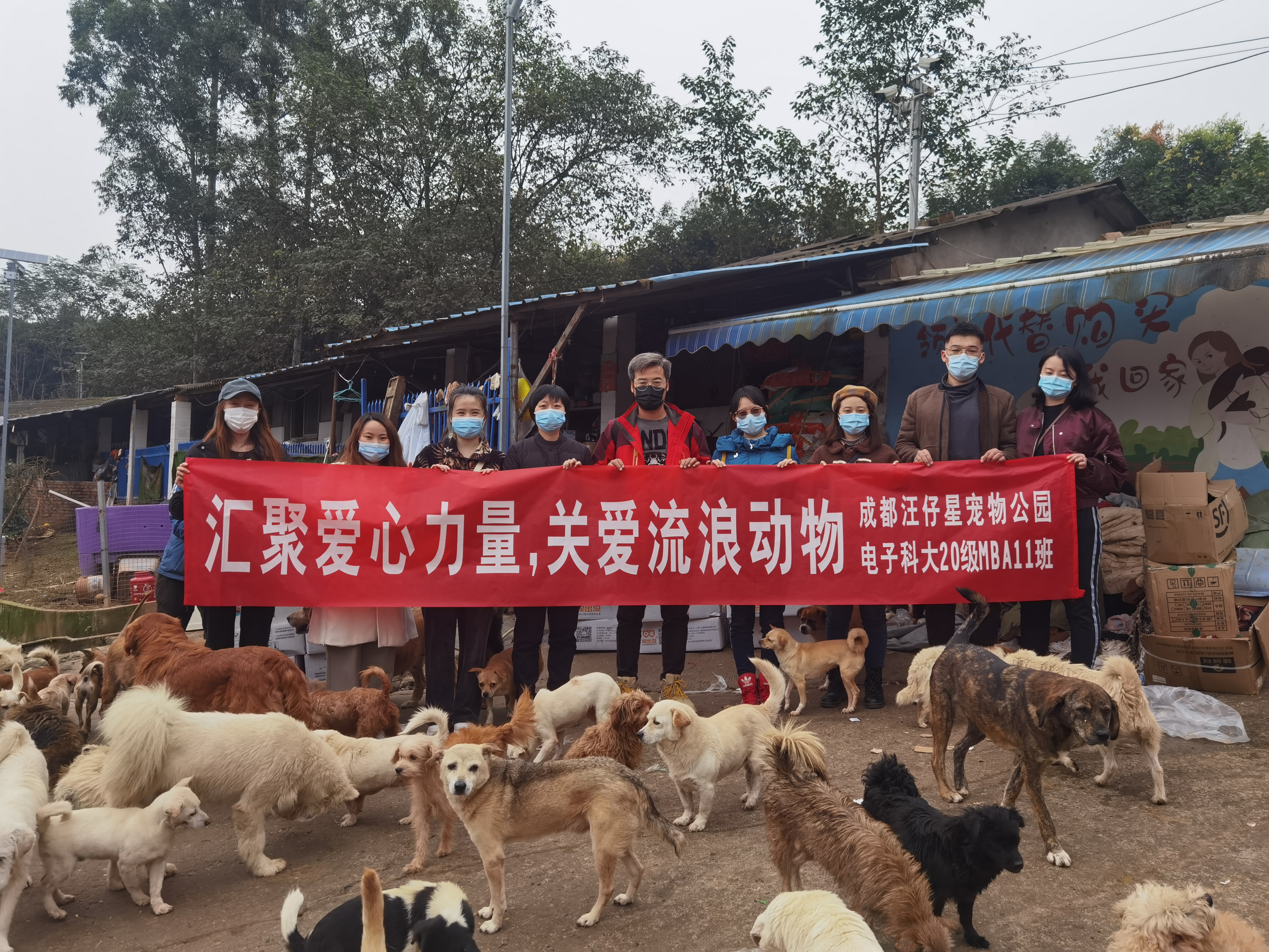 汇聚爱心力量，关爱流浪动物—F-L宠物公园项目走进动物救助中心