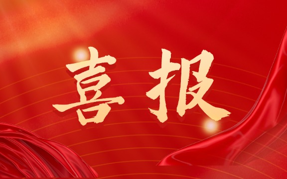 全国特等奖、国奖！电子科大MBA学子领跑赛场