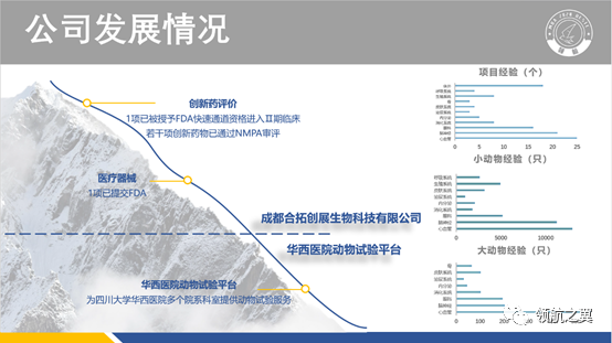 2020级14班领航风采-FL分享：每一粒药品背后的动物英雄